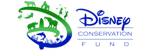 Disney Conservation Fund Logo