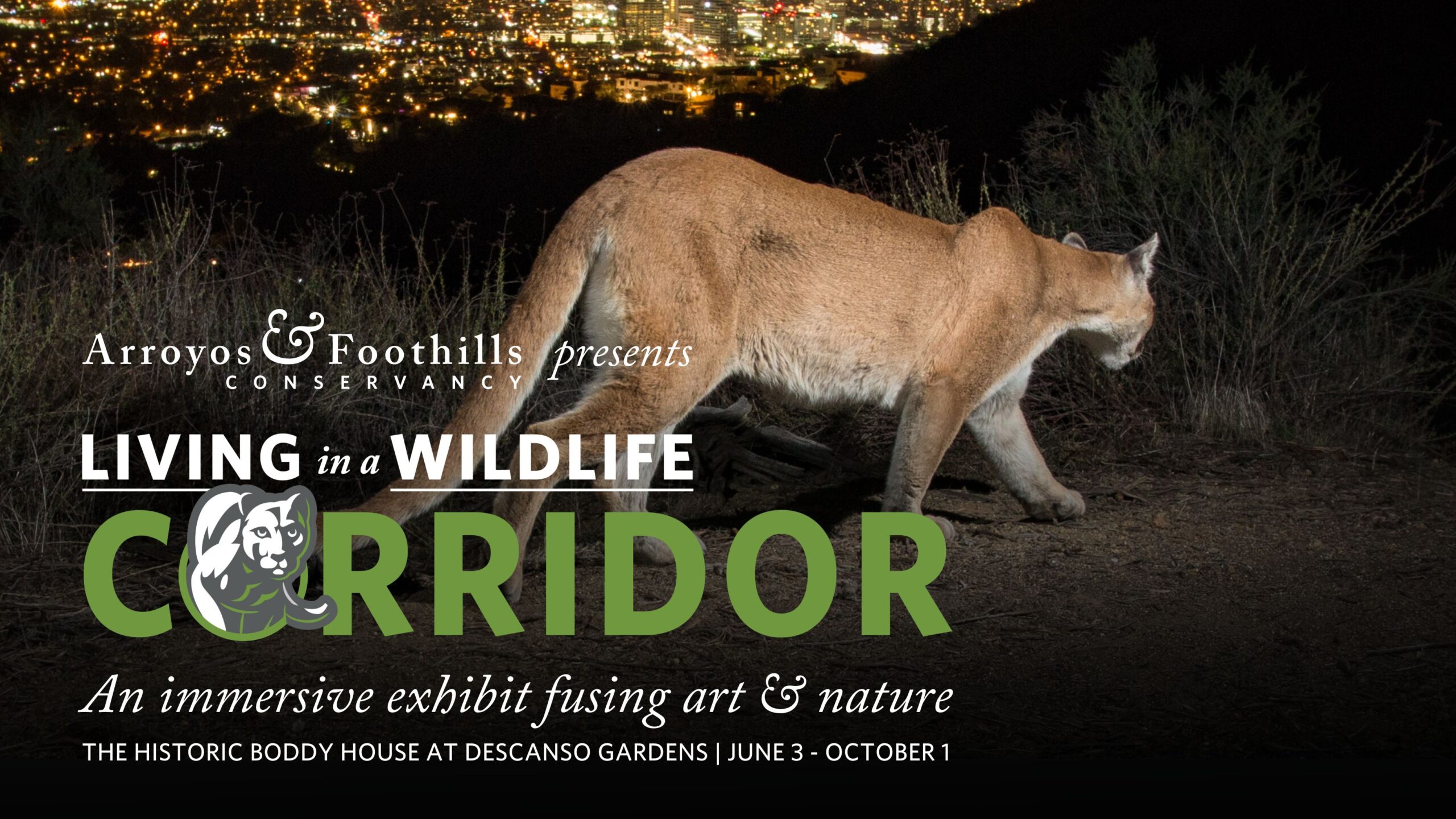 Image of a mountain lion walking with city lights behind it. Text overlayed that reads Arroyos & Foothills presents Living in a Wildlife Corridor, an immersive exhibit fusing art and nature open at Descanso Gardens from June 3rd to October 1st.
