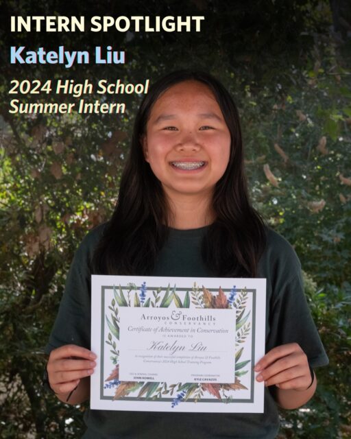 Meet Katelyn Liu, one of our high school interns from 2024! 🌱 ⁠
⁠
During the duration of her two week internship with AFC, Katelyn jumped straight into restoration work and urban wildlife research. She also had the chance to participate in college-level workshops to gain deeper insights into pursuing an education in conservation related fields. ⁠
⁠
She continues to volunteer at Sunshine Preserve regularly, so be sure to say hi if you see her!⁠
⁠
By hosting high school students every summer, AFC is empowering young people to explore the outdoors, restore habitats, and grow into the next generation of land stewards. 🌄⁠
⁠
Interested in attending our high school training program? Apply today (link in our bio) to jump-start your journey in land stewardship and conservation! The application window is open for another week! 🌟