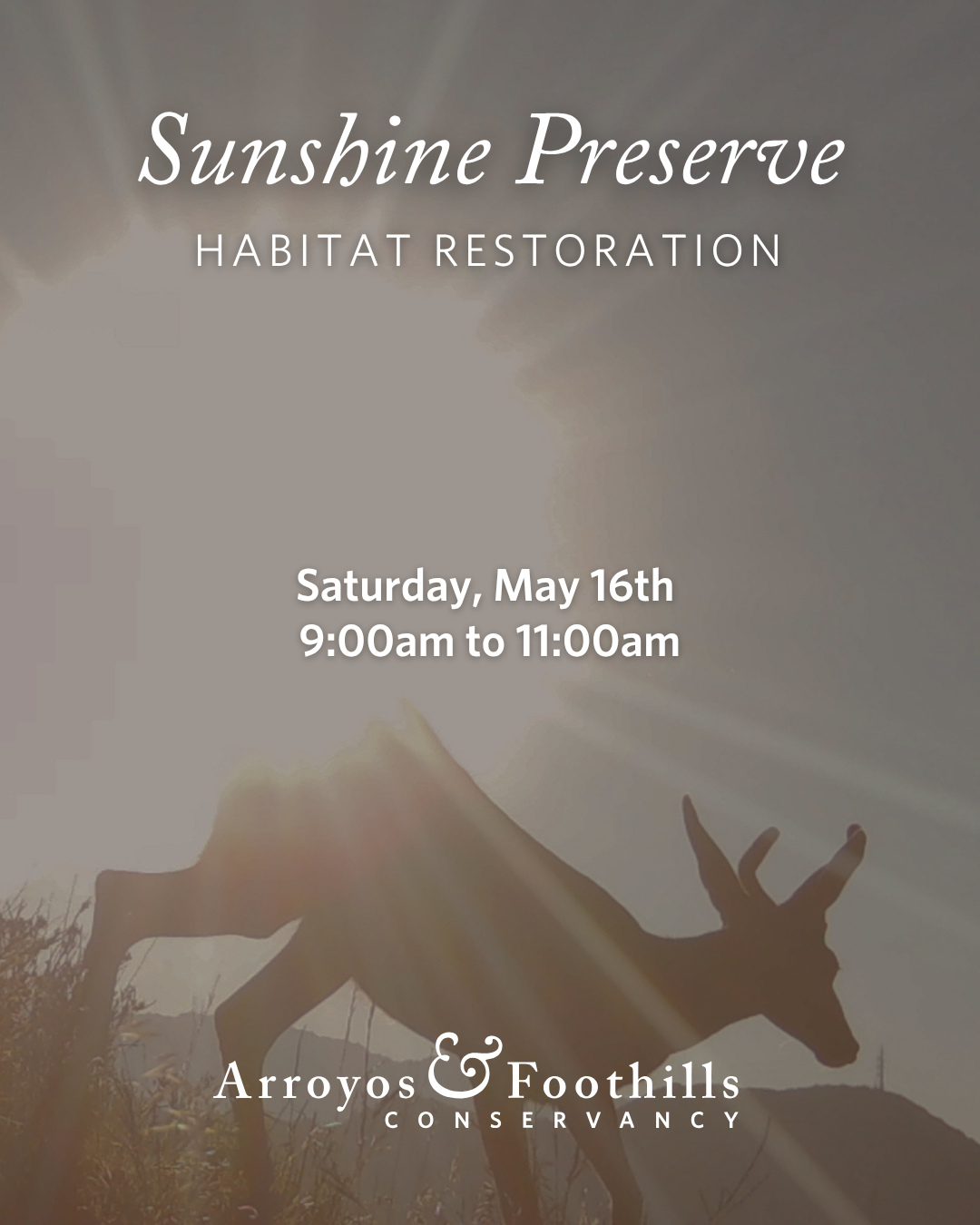 This Saturday, May 16th, join AFC at the Sunshine Preserve in Glendale. Help restore this open space with and for the community (of people and wildlife!)⁠
⁠
Please bring water and we recommend wearing pants, long sleeve shirts, and sturdy shoes. If available to you, we also recommend bringing a tool such as a shovel, hand pruner, or trowel.⁠
⁠
Registration is required for this volunteer event. You can sign up via our link in bio or by visiting arroyosfoothills.org/events⁠
⁠
For all news Sunshine Preserve, follow @thesunshinepreserve 🌞⁠