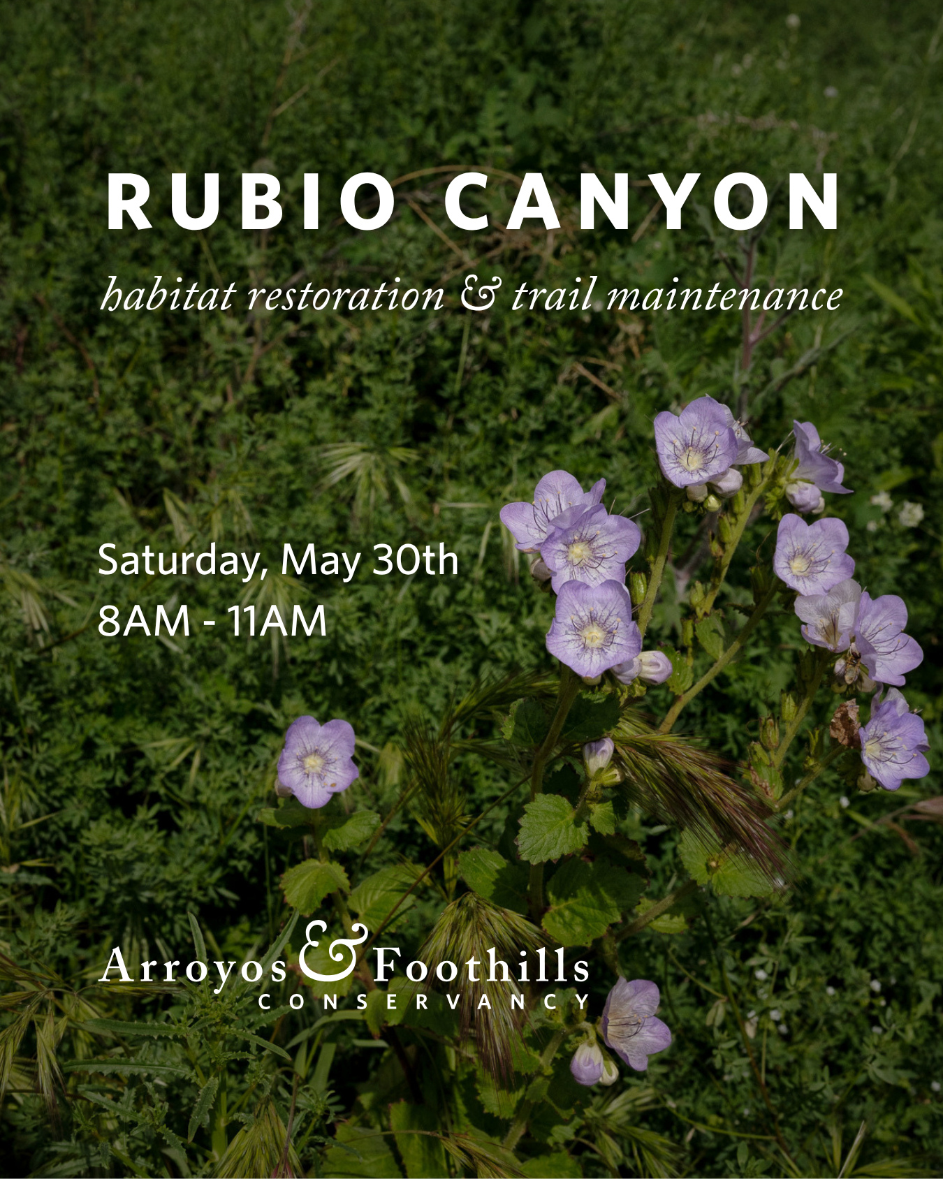 This Saturday, join AFC and the Friends of Rubio Canyon in Altadena! Help maintain the trails at Rubio Canyon Preserve for safe public access, restore impacted areas, and care for this unique and ecologically important landscape.⁠
⁠
Please bring water, sunscreen, and work gloves. We recommend wearing pants, long sleeves, and sturdy shoes. If available, feel free to bring any of the following tools: McLeod, shovel, bow rake, pick mattock, folding saw, and loppers. Other tools and equipment will be available.⁠
⁠
Visit our link in bio for meeting location and to register for this event. ⁠
⁠
