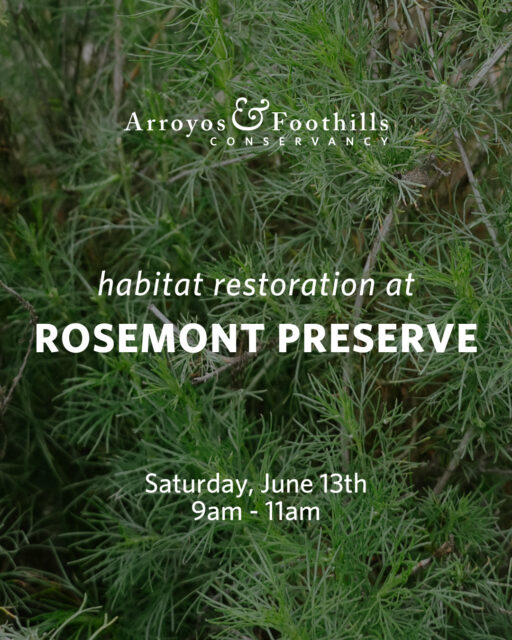Help keep Rosemont Preserve thriving! This protected area of native habitat supports biodiversity and provides a place for community connection. ⁠
⁠
This Saturday, June 13th, join us at the Preserve in La Crescenta from 9am - 11am. ⁠
⁠
If you have any of the following tools, please consider bringing them: shovels, spades, loppers, hatchets, clippers. Other tools and equipment will be available.⁠
⁠
Registration is requested - just visit our link in bio!⁠