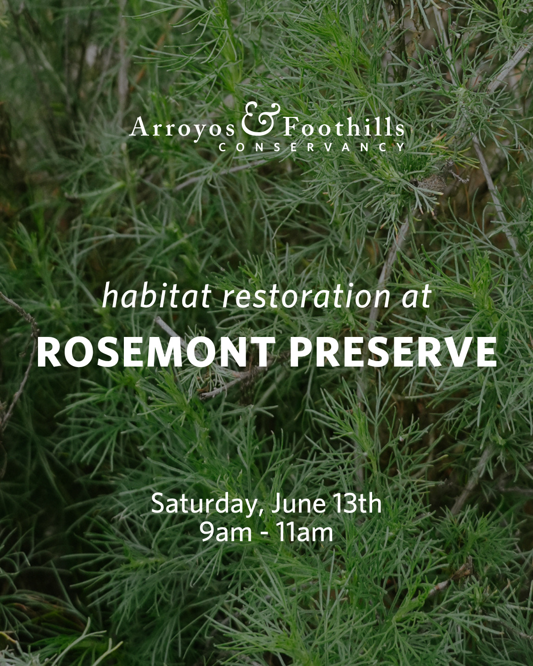 Help keep Rosemont Preserve thriving! This protected area of native habitat supports biodiversity and provides a place for community connection. ⁠
⁠
This Saturday, June 13th, join us at the Preserve in La Crescenta from 9am - 11am. ⁠
⁠
If you have any of the following tools, please consider bringing them: shovels, spades, loppers, hatchets, clippers. Other tools and equipment will be available.⁠
⁠
Registration is requested - just visit our link in bio!⁠