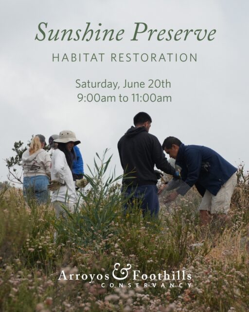 This Saturday, June 20th, join AFC at the Sunshine Preserve in Glendale! Join the community in restoring this open space.⁠
⁠
Please bring water and we recommend wearing pants, long sleeve shirts, and sturdy shoes. If available to you, we also recommend bringing a tool such as a shovel, hand pruner, or trowel.⁠
⁠
Registration is required for this volunteer event. You can sign up via our link in bio or by visiting arroyosfoothills.org/events⁠
⁠
For all news Sunshine Preserve, follow @thesunshinepreserve 🌞⁠