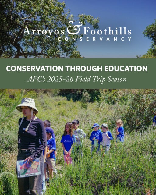 As the school year comes to a close, AFC is celebrating hosting more than 3,000 students at our Preserves through our Field Trip Program. From learning the value of native plants and wildlife in local ecosystems to sparking moments of curiosity, these experiences help nurture the next generation of land stewards. ⁠
⁠
60% of the participating schools receive Title I funding — we're especially proud to be expanding access to the outdoors. ⁠
⁠
Know an educator who would love to bring their students to the foothills? Share this post! Field trips for the 2026–2027 school year will become available to book at the end of August 2026.
