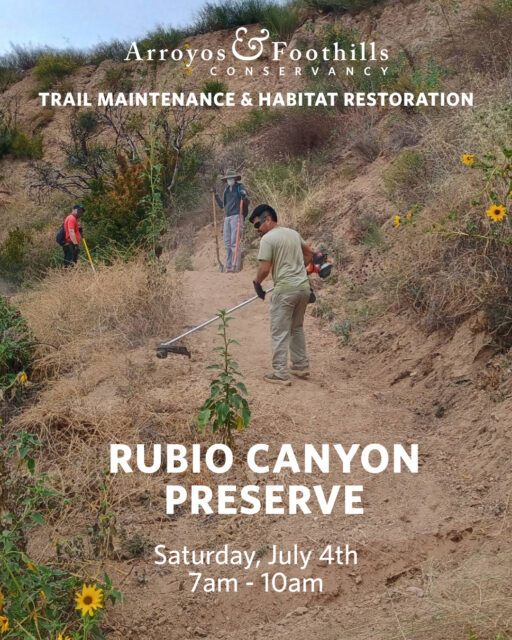 This Saturday, join AFC and the Friends of Rubio Canyon in Altadena! Help maintain the trails at Rubio Canyon Preserve for safe public access, restore impacted areas, and care for this unique and ecologically important landscape.⁠
⁠
Please bring water, sunscreen, and work gloves. We recommend wearing pants, long sleeves, and sturdy shoes. If available, feel free to bring any of the following tools: McLeod, shovel, bow rake, pick mattock, folding saw, and loppers. Other tools and equipment will be available.⁠
⁠
Visit our link in bio for meeting location and to register for this event.
