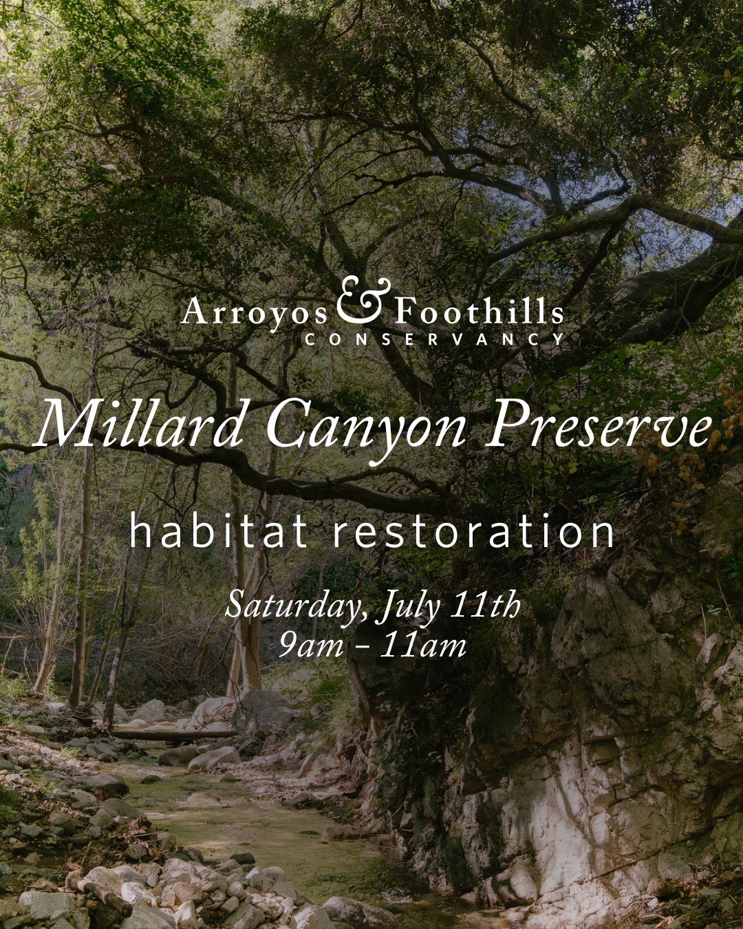 Join us at Millard Canyon Preserve to help maintain this special place as a wildlife refuge!⁠
⁠
This Saturday, July 11th, volunteers will meet at 9am. If you have them, please bring tools such as weed whackers, pruners, loppers, or other hand tools suitable for cutting and clearing vegetation.⁠
⁠
Registration is requested (link in bio!).⁠