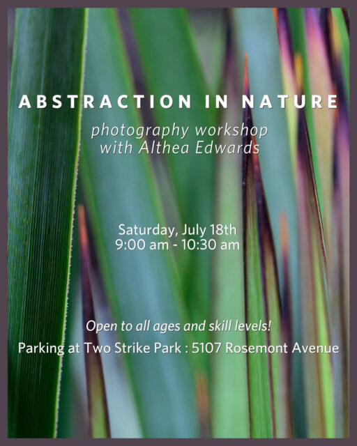 Join artist (and one of our Nature Photography Contest judges!) Althea Edwards for a photography workshop dedicated to creating abstract images of nature. @edwards.althea⁠
⁠
In this workshop you will experiment with composition, movement, light, and perspective to explore the genre of abstract photography using Rosemont Preserve as your subject. Althea will help you develop a portfolio of creative, expressive photographs that move beyond documentation and allow viewers to see the natural world through a new perspective.⁠
⁠
Photographers of any skill level are encouraged to attend and we invite you to submit the images you take in the workshop to our Nature Photography Contest! Use our link in bio to register for this event!