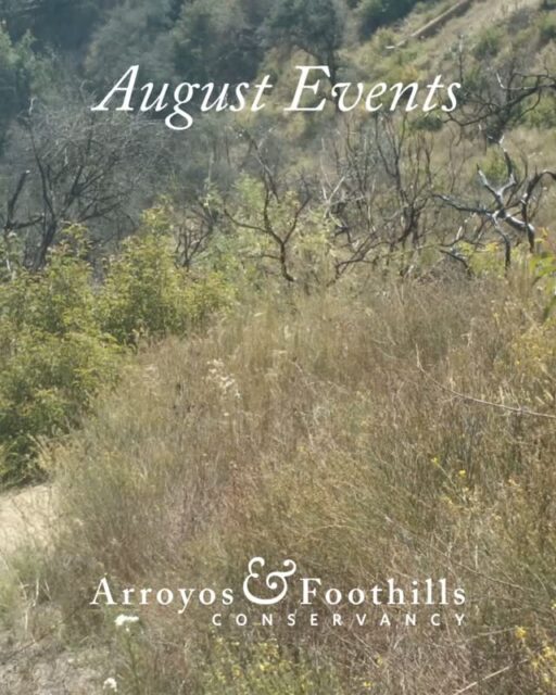 Join AFC out in the foothills! We have upcoming opportunities for habitat restoration across our Preserves and exploring Rosemont Preserve on a tour, or at your leisure. ⁠
⁠
Plus, join Arroyos & Foothills Conservancy at @folarorg RiverFest on August 9th! Come stop by our booth to learn about our conservation work, volunteer opportunities, and ways to get involved with urban conservation.⁠
⁠
Visit our link in bio for more information about all these events or head to arroyosfoothills.org/events. See you in August!⁠