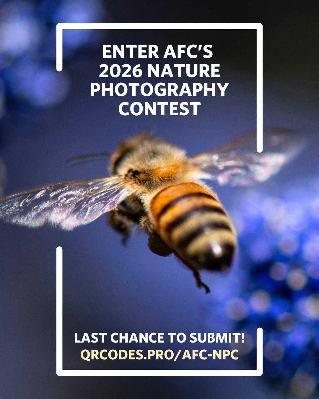 Time is running out to submit to our Nature Photography Contest! Whether you're an artist exploring your connection to the land, or a naturalist documenting what you see, send us your images and celebrate the beauty of nature!⁠
⁠
Eligible photographs must be taken in Southern California within the last 5 years. Category winners will have their work promoted online and displayed at our Urban Conservation Awards in September at the Autry Museum of the American West! ⁠
⁠
Click the link in our bio to read the rules and to submit - we're accepting submissions until 11:59pm PST on August 1st!⁠
⁠
📸: by Gordon Ownby