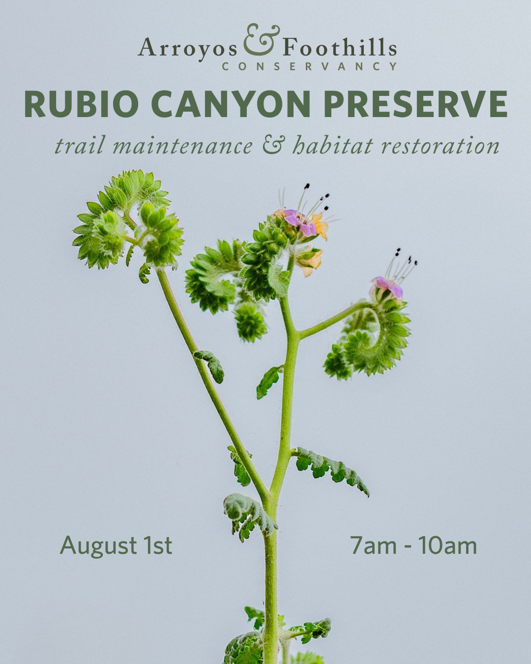 This Saturday, join AFC and the Friends of Rubio Canyon in Altadena! Help maintain the trails at Rubio Canyon Preserve, restore areas impacted by the Eaton Fire, and care for this unique and ecologically important landscape.⁠
⁠
Please bring water, sunscreen, and work gloves. We recommend wearing pants, long sleeves, and sturdy shoes. If available, feel free to bring any of the following tools: McLeod, shovel, bow rake, pick mattock, folding saw, and loppers. Other tools and equipment will be available.⁠
⁠
Visit our link in bio for meeting location and to register for this event. ⁠