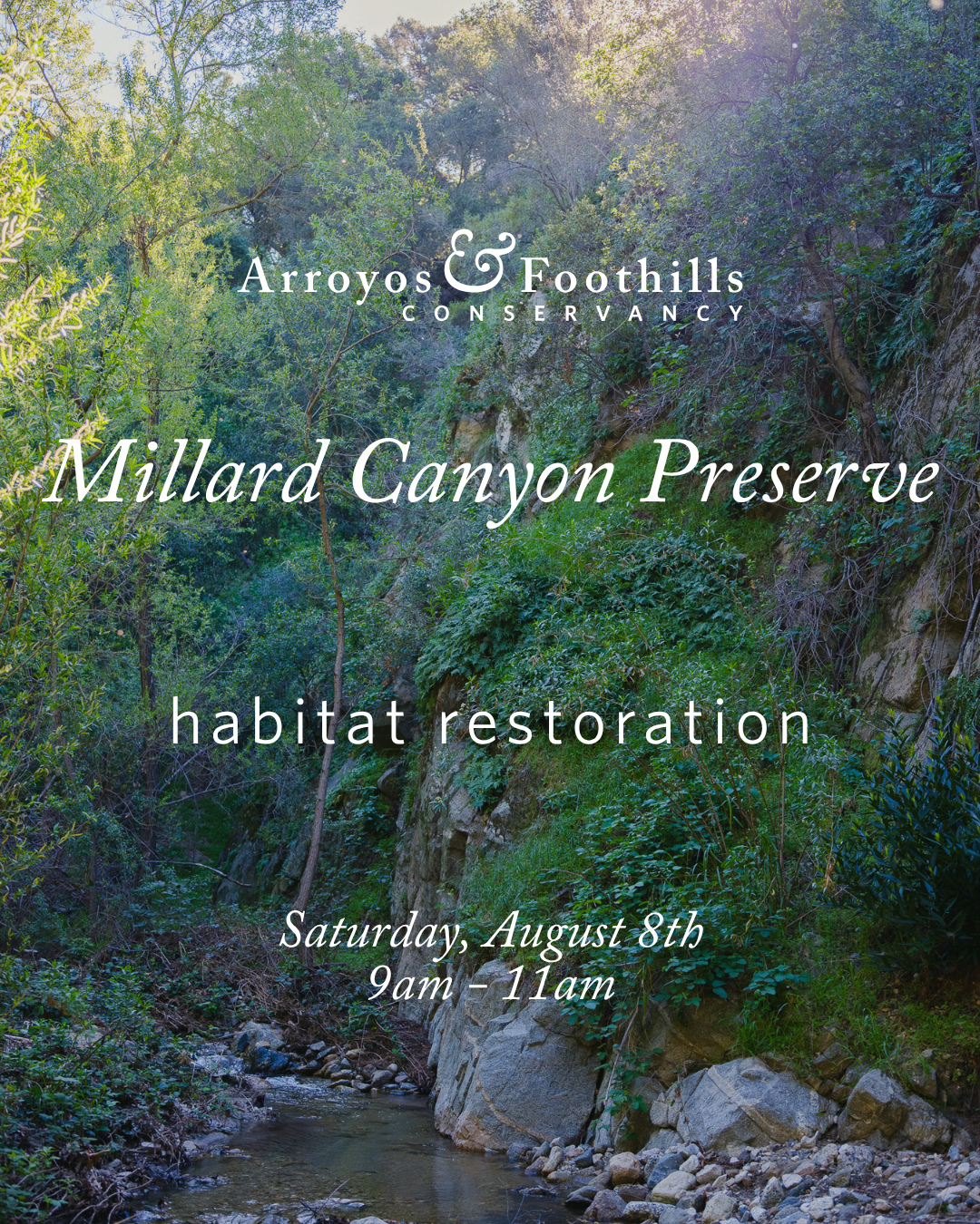 Join us at Millard Canyon Preserve to help maintain this special place as a wildlife refuge! At the moment, restorations are the only time we allow public access to this fragile ecosystem. See why we're protecting it for wildlife and get involved with the restoration efforts - join us on Saturday, August 8th, at 9am!⁠
⁠
If you have them, please bring tools such as weed whackers, pruners, loppers, or other hand tools suitable for cutting and clearing vegetation.⁠
⁠
Registration is requested (link in bio!).