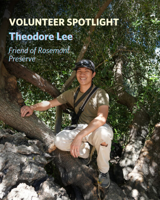 Meet Theodore, our dedicated Friend of Rosemont Preserve! 🌱⁠
⁠
Theodore's journey with AFC began as a field trip docent, where he helped educate K-12 students from across Los Angeles County on local ecology. Inspired to become even more involved, he joined habitat restoration events, contributing to the hands-on care of Rosemont Preserve. Recently, Theodore joined the Friends Group of Rosemont, demonstrating his long-term dedication to stewarding the preserve. ⁠
⁠
From educating the next generation of environmental stewards to restoring native habitat and now taking on a leadership role, Theodore's journey shows how volunteering can grow into a lasting connection with the land and community. ⁠
⁠
Interested in making a difference like Theodore? Sign up to see where your volunteer journey begins! (link in bio) 🌟 ⁠