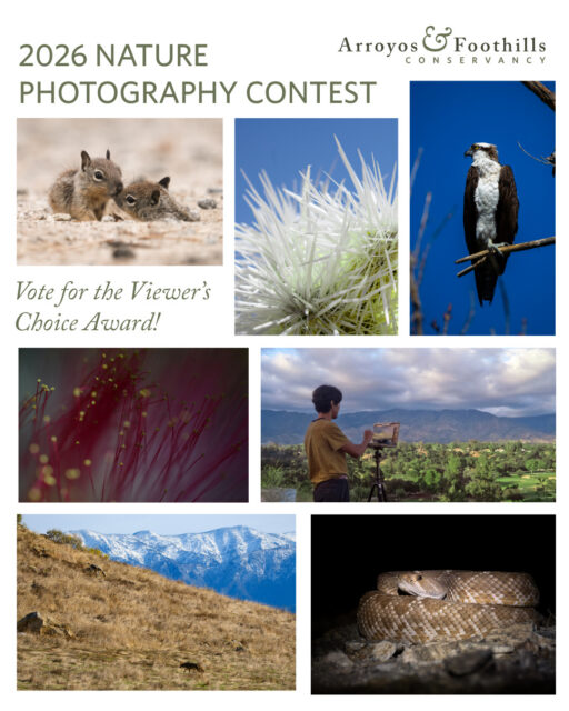 Here are the winning photographs of AFC's 2026 Nature Photography Contest!⁠
⁠
We had a record number of submissions (201!) making the judging a complex task! We received so many stunning images, but these seven really made an impression on our judges.⁠
⁠
Congratulations to the winning photographers and thank you to our three judges Denis Callet, Althea Edwards, and Neal Parekh for sharing their expertise and eye. ⁠
⁠
Now we need YOUR help to select the 2026 Viewer's Choice Award. Hear to uniqo.de/npc-2026 (or our link in bio) to cast your vote for your favorite image. ⁠
⁠
We hold this contest because we know photography helps connects us to the natural world. We hope these images inspire you to take one action today that helps our wildlife and natural habitats!