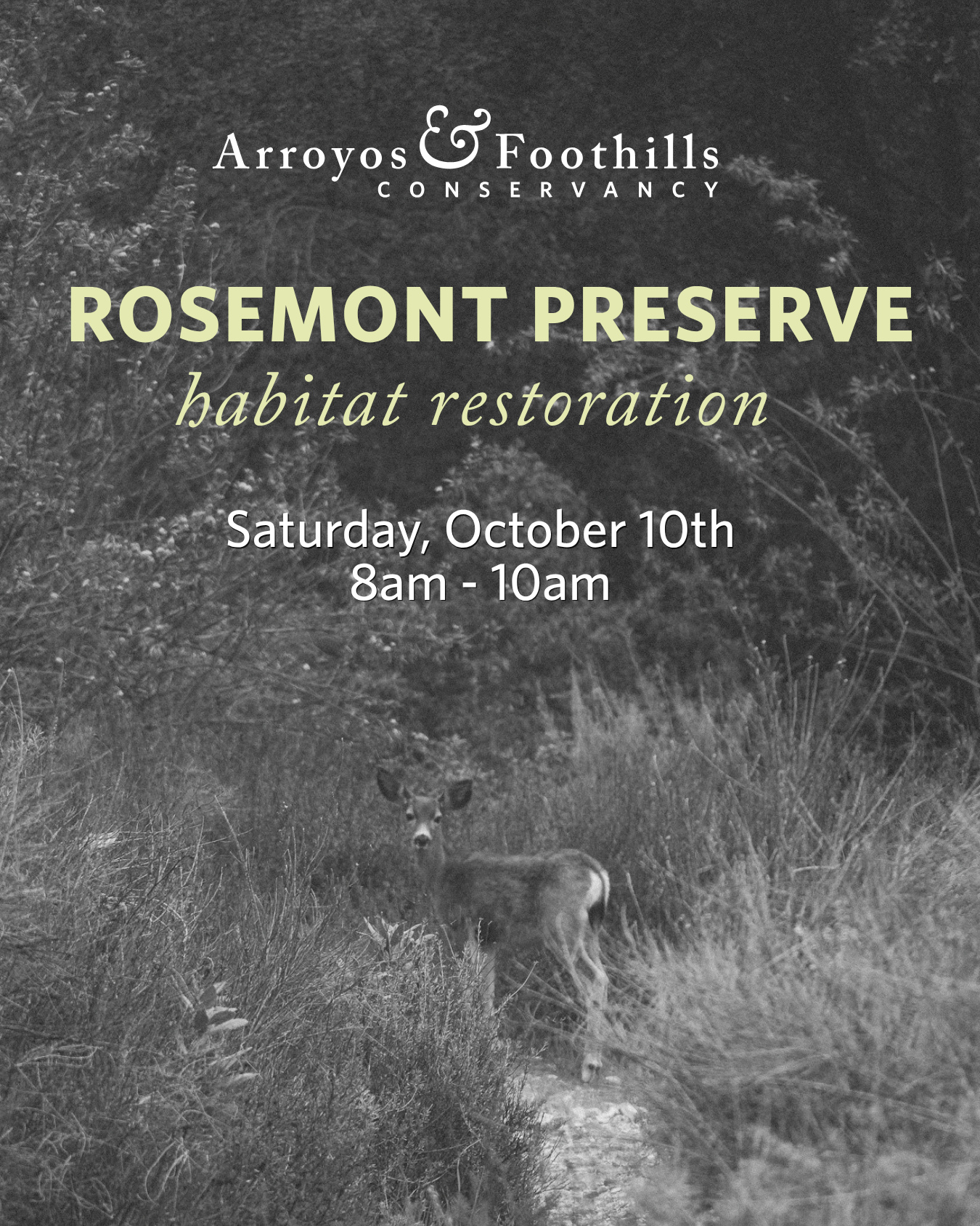 Help keep Rosemont Preserve thriving for wildlife and maintained for upcoming field trips. ⁠
⁠
This Saturday, October 10th, join us at the Preserve in La Crescenta from 8am - 10am. ⁠
⁠
If you have any of the following tools, please consider bringing them: shovels, spades, loppers, hatchets, clippers. Other tools and equipment will be available.⁠
⁠
Registration is requested - just visit our link in bio!⁠
⁠
Photo by Maya Wali Richardson⁠