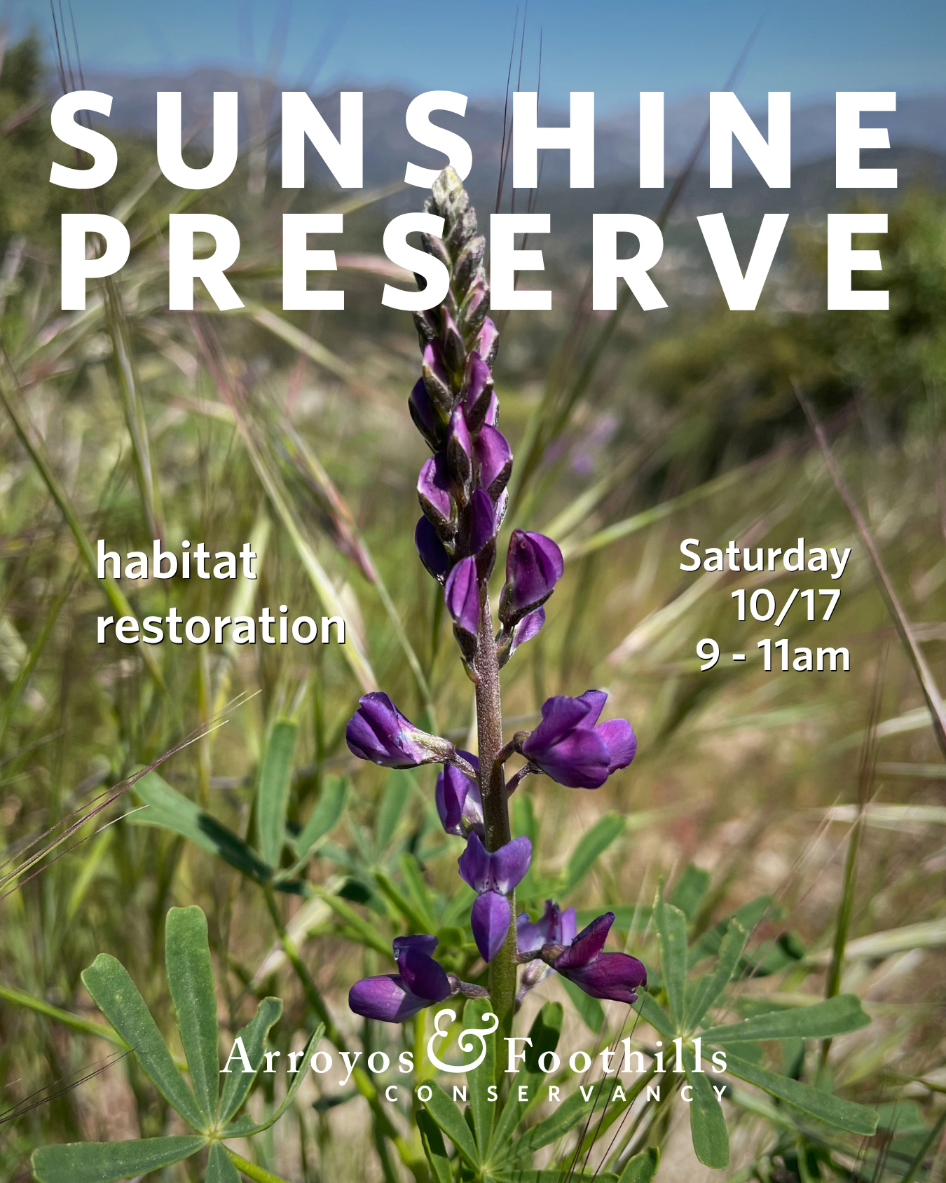This Saturday, October 17th, join AFC at the Sunshine Preserve in Glendale! Help the community in restoring this open space. ⁠
⁠
Please bring water and we recommend wearing pants, long sleeve shirts, and sturdy shoes. If available to you, we also recommend bringing a tool such as a shovel, hand pruner, or trowel.⁠
⁠
Registration is required for this volunteer event. You can sign up via our link in bio or by visiting arroyosfoothills.org/events⁠
⁠
For all news Sunshine Preserve, follow @thesunshinepreserve 🌞