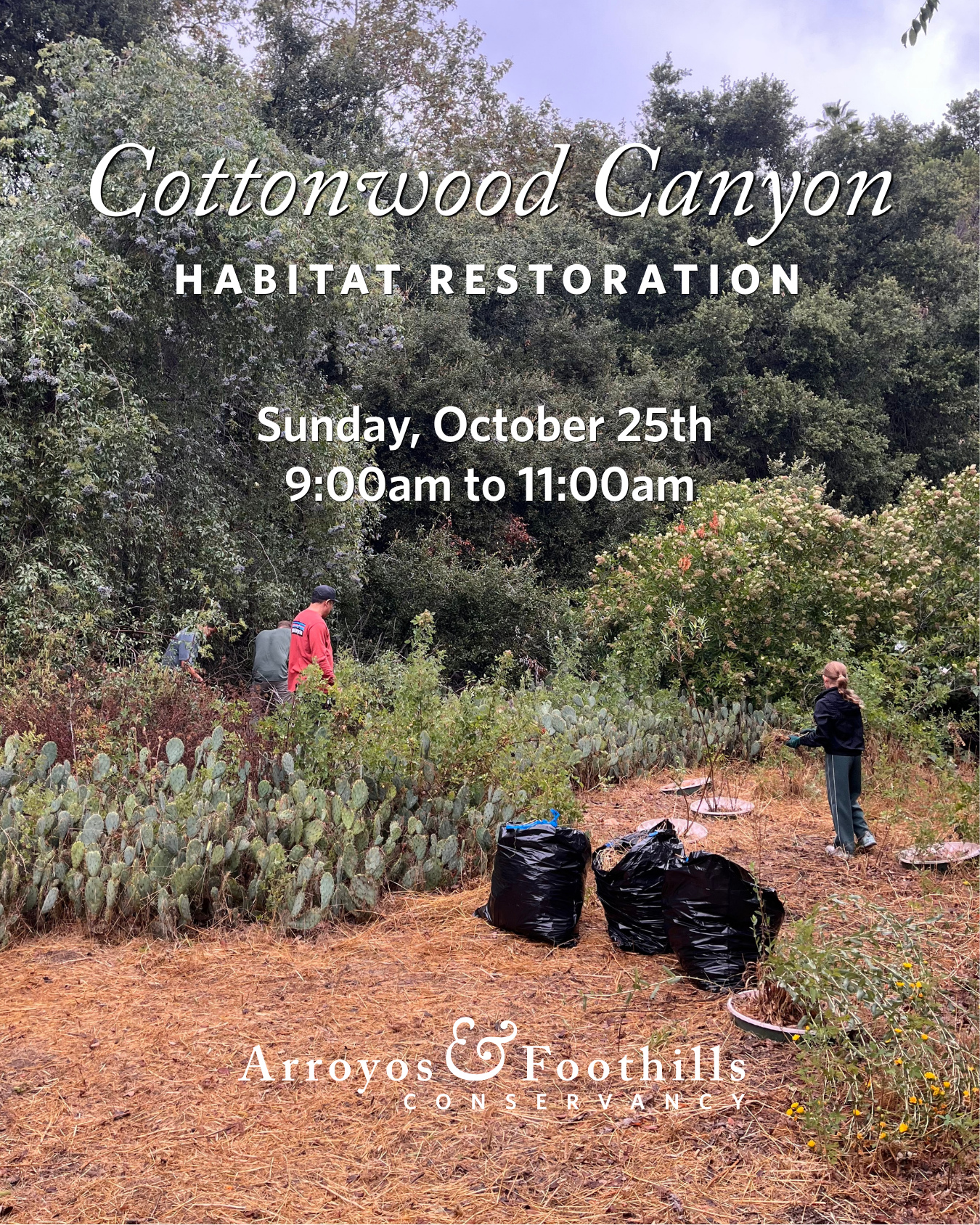 This Sunday, October 25th, help restore habitat at Cottonwood Canyon in Pasadena! We'll be working to ensure this beautiful area remains a thriving, healthy wildlife corridor. ⁠
⁠
Volunteers will meet at 9am - please bring work gloves and water, and wear sturdy shoes.⁠
⁠
Please register through the link in our bio. Thanks for supporting urban conservation!