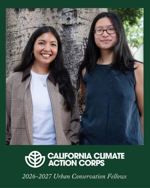 ✨ Say hello to our Urban Conservation Fellows! ✨

We’re thrilled to have Daniela Galvez returning for a second year as our 2026-2027 California Climate Action Corp Fellow. This year, she’s joined by Sarah Chin!

So far, they’ve hosted field trips, helped out at restoration events,  represented AFC at community events, interviewed volunteers, and conducted research on native and invasive plants.

🌱🌱

AFC has partnered with the California Climate Action Corps to host these two full-time Urban Conservation Fellows until next August and we’re so grateful to have them on our team! Be sure to say hi to Sarah and Daniela next time you’re at an AFC event!

Meet Sarah 👋
“I’m a recent graduate of environmental science and gender studies at Barnard College. I have a research background in urban ecology and forestry, and plan to pursue graduate studies at the intersection of forest fire ecology and environmental justice.”

Welcome back Daniela 👋
“I graduated from UC Santa Cruz with a B.S. in Earth Sciences and have a background in environmental field research and habitat restoration. During my first year with AFC, I supported educational programming that engaged over 3,000 students, organized community restoration events, and recently gained experience supporting land acquisition and public policy efforts.”